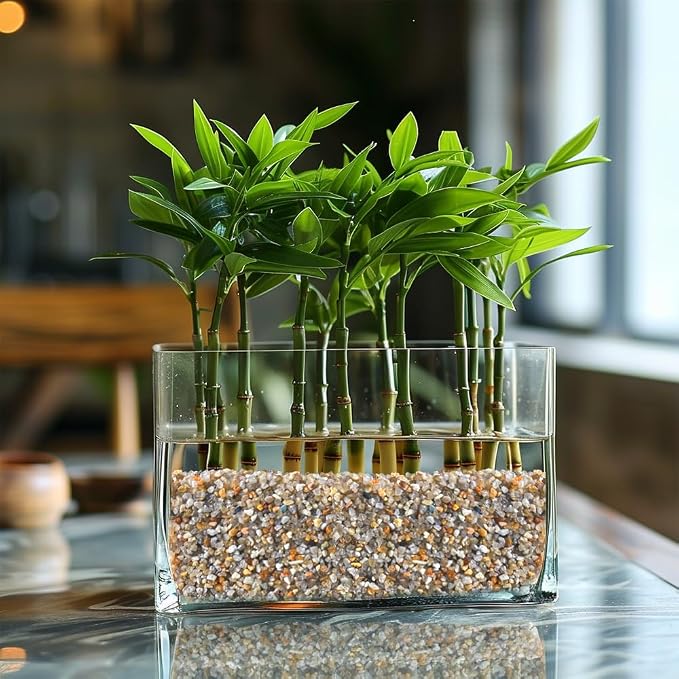 Natural Sand Coarse Sand Real Silica Sand Vase Filler - Image 7