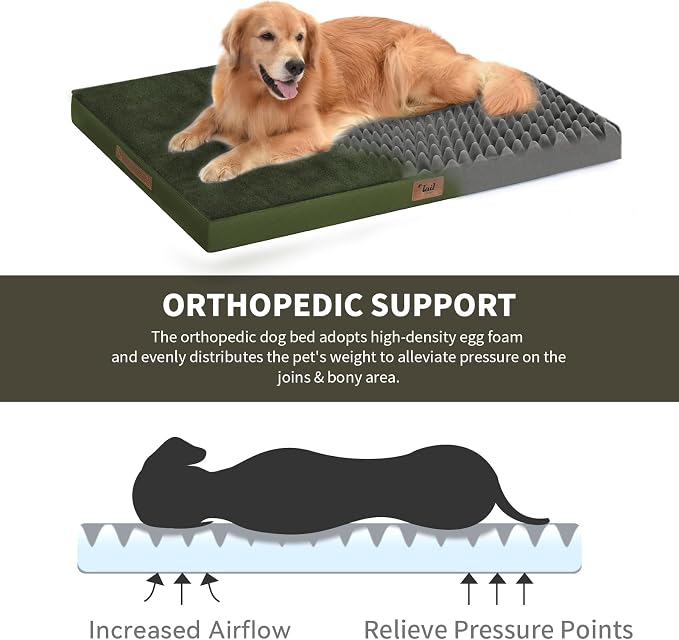 Flat Extra Large Dog Bed, Jumbo Waterproof Dog Bed - Image 3
