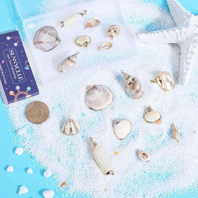 SUNNYCLUE 1 Box 20Pcs 10 Styles Seashell Charms Bulk Sea Shell Charms Large - Image 4