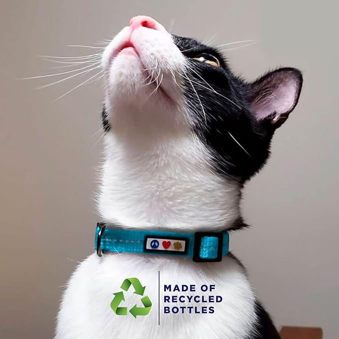 Pawtitas Recycled Teal Reflective Cat Collar – Eco-Friendly Breakaway Safety - Image 3
