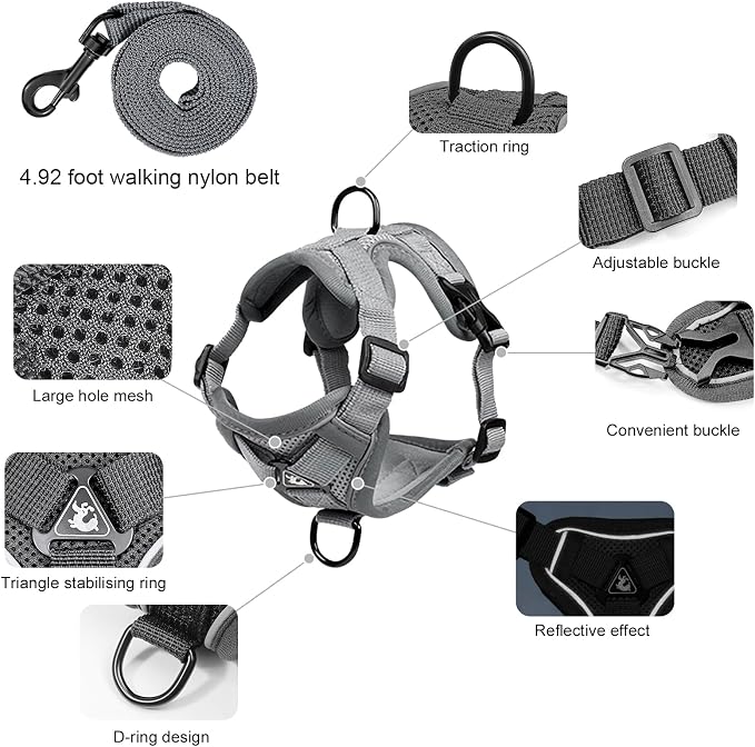Escape Proof Kitten Harness and Leash Set - Image 2