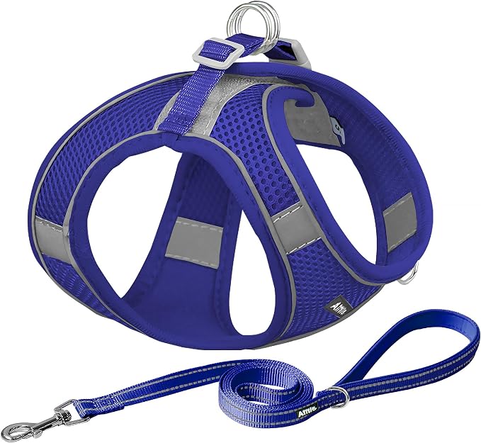 AIITLE No Pull Dog Harness and Leash Set, Step in Adjustable Dog Harness by AIITLE-FORPETSBETTERLIFE