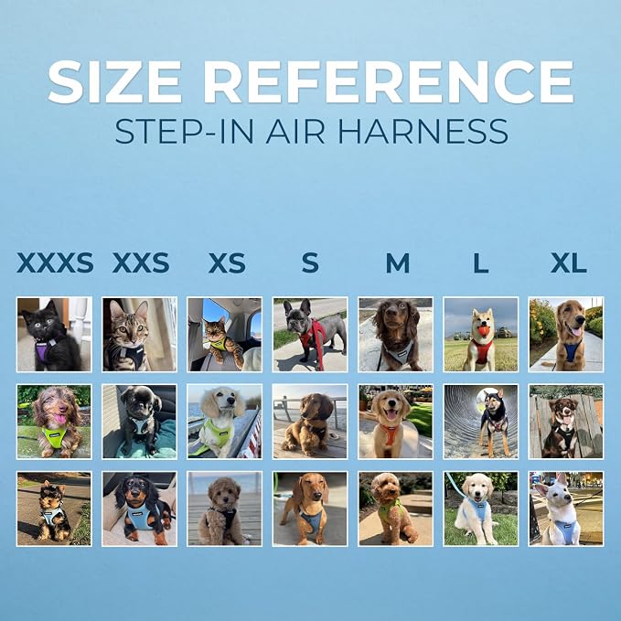 Voyager Step-in Air Dog Harness - Image 6