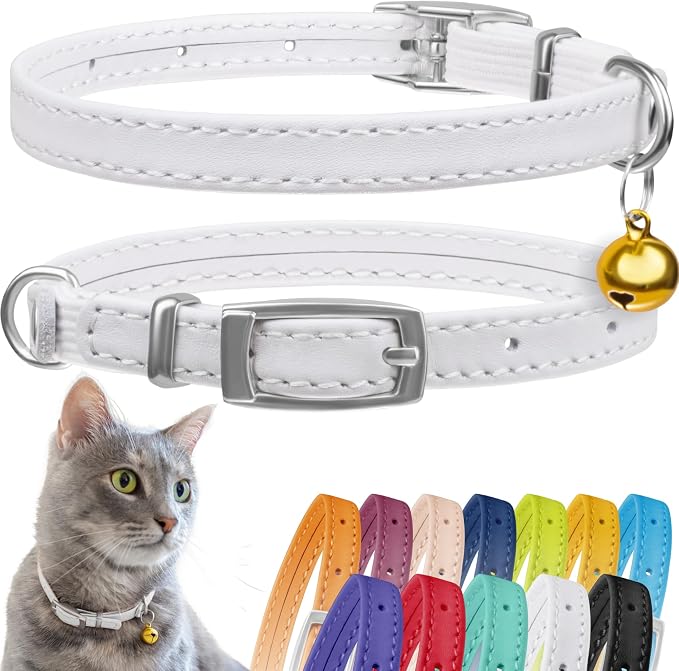 CollarDirect Leather Cat Collar by CollarDirect