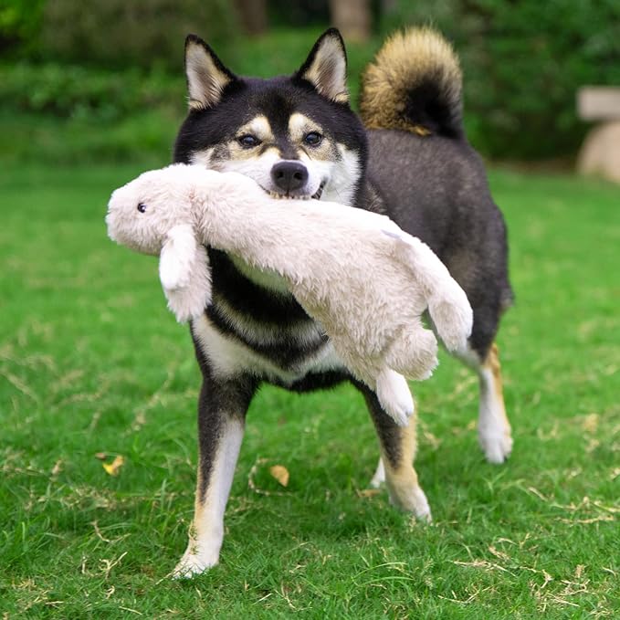 Best Pet Supplies Squeaky Dog Toys - Image 12