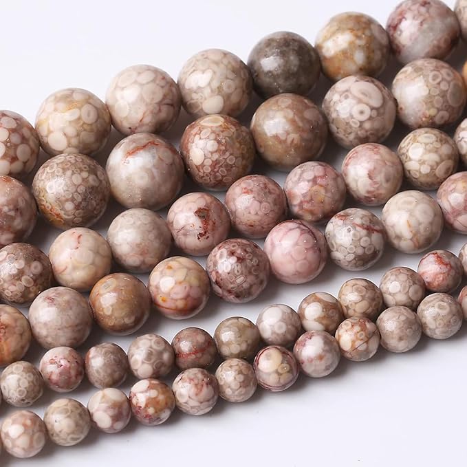 48PCS 8MM Natural Flowery Cowry Fossil Stone Beads Energy Healing Beads for DIY Jewelry Bracelet Necklace Making for Jewelry Making15Inch