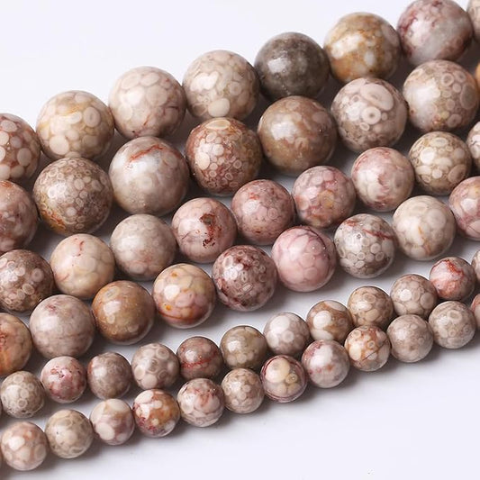 36PCS 10MM Natural Flowery Cowry Fossil Stone Beads Energy Healing Beads for DIY Jewelry Bracelet Necklace Making for Jewelry Making15Inch