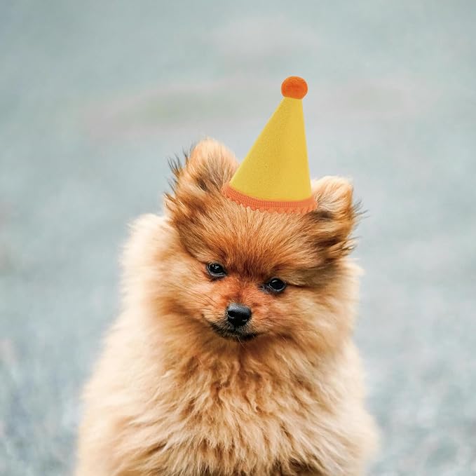 10 Pcs Dog Birthday Hat Set for Small Medium Dogs Cat Puppies, Mini Party Hat - Image 3