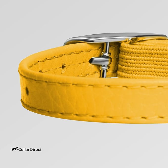 CollarDirect Leather Cat Collar - Image 3