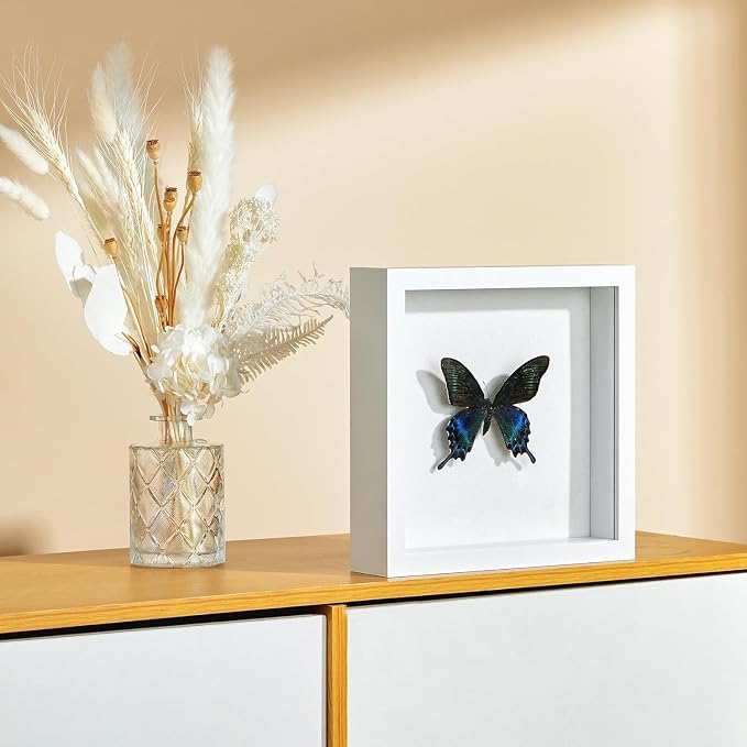8x8 Shadow Box Picture Frame - Image 8