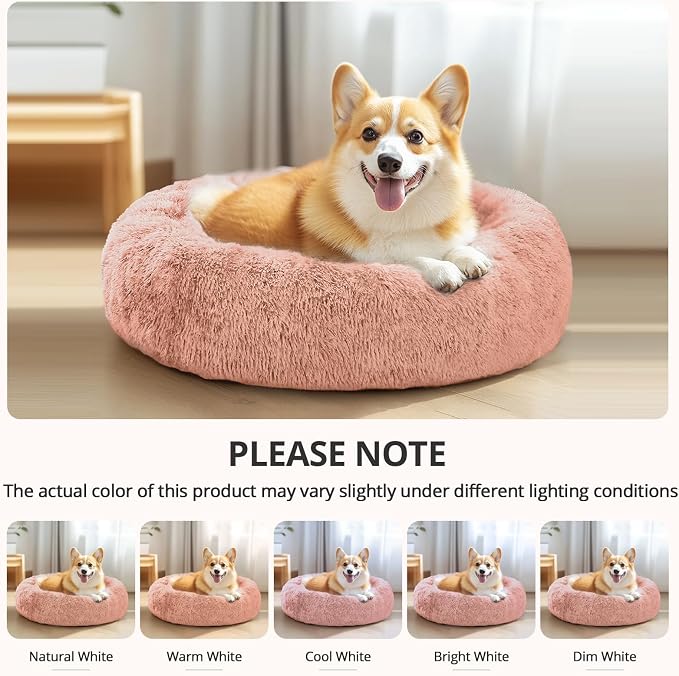 JOLLYVOGUE Calming Dog Bed for Small Dogs - Image 8