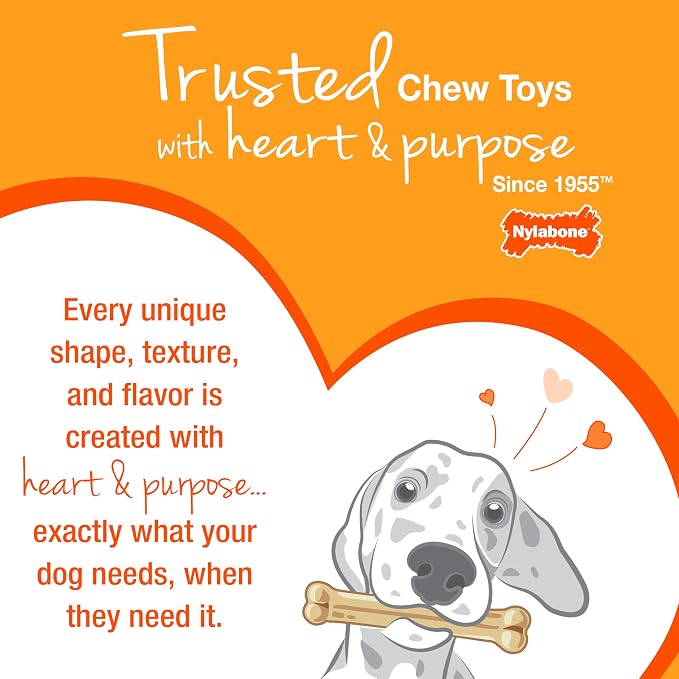 Nylabone Textured Bone Power Chew Toy - Image 14