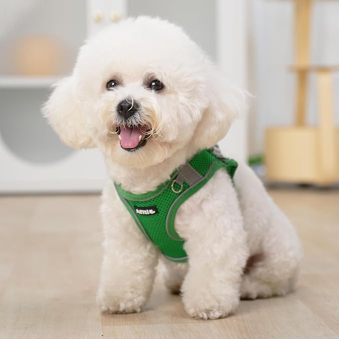 AIITLE Dog Harness, No-Pull Cat Harness - Image 10