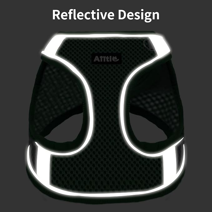 AIITLE Dog Harness, No-Pull Cat Harness - Image 7