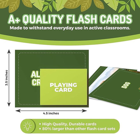 100 Animal, Insect & Ocean Creatures Flash Cards, Realistic Pictures for Fun Learning & Montessori Educational Vocabulary Builder for Preschool Kids, Adults, Schools, Autism, Speech Therapy, ESL, SLP