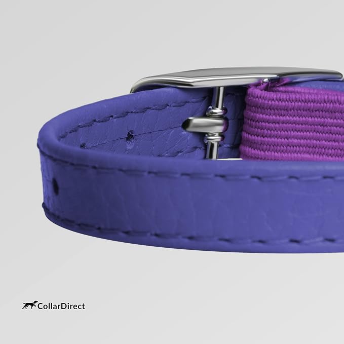 CollarDirect Leather Cat Collar, Kitten Collar - Image 3