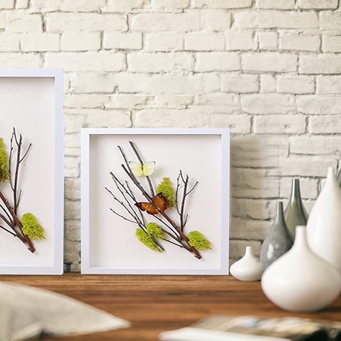 12x12 Shadow Box Frame Display Case - Image 3