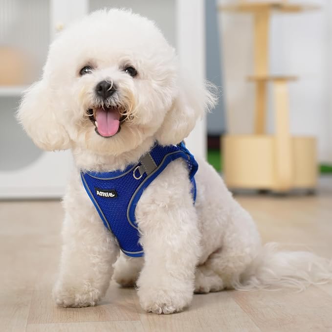 AIITLE Escape Proof Dog Harness - Image 7