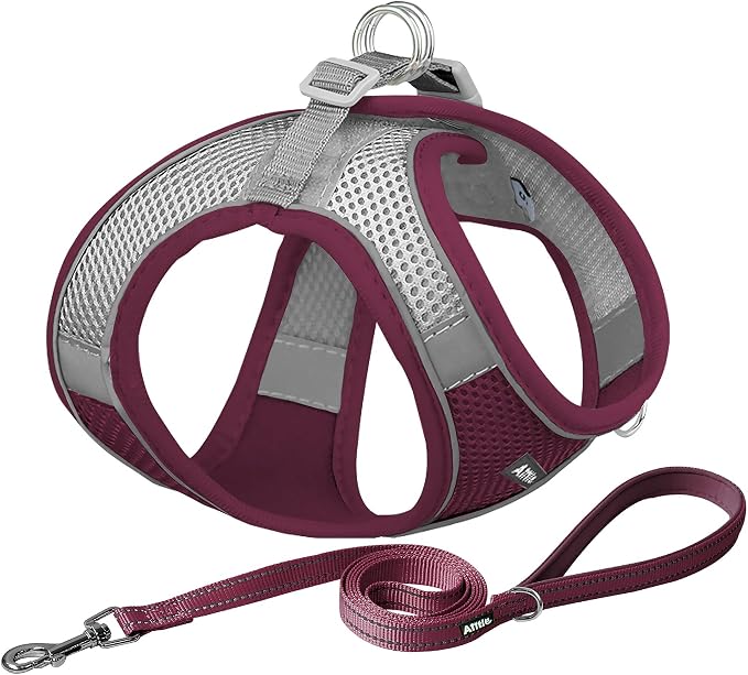 AIITLE Escape Proof Dog Harness by AIITLE-FORPETSBETTERLIFE