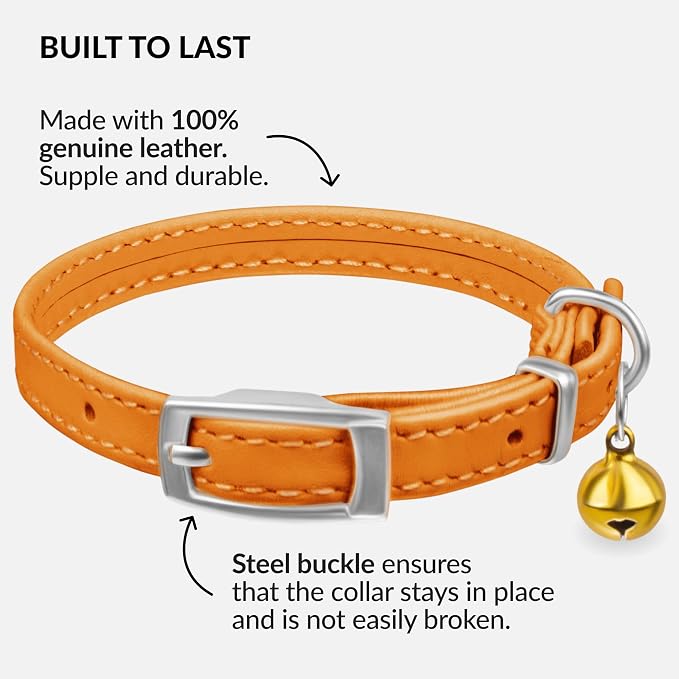 CollarDirect Leather Cat Collar - Image 2