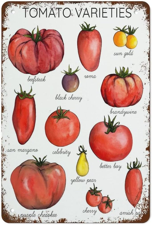 Funny Tin Sign Tomato Varieties Poste Metal Poster Plaques for Home Living Room Kitchen Cafe Bar Vintage Wall Decor Metal Sign 12 x 8 IN
