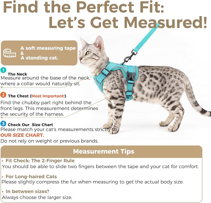 Cat Harness and Leash Set Escape Proof Tactical Extra Large Kitten Harness - Image 2