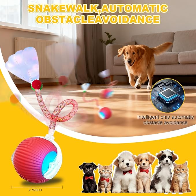 Interactive Cat Toys Ball for Indoor Cats＆Dogs, Automatic Cat Toy 360° - Image 3