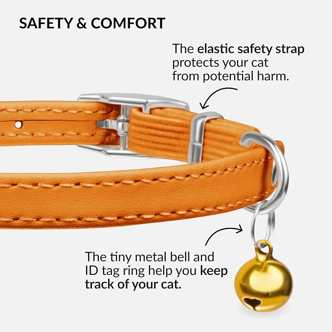 CollarDirect Leather Cat Collar - Image 3