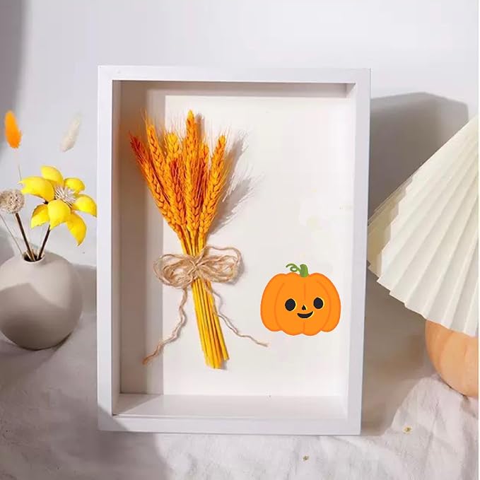 4Pack 4x6 Shadow Box Frame，HD Glass Wooden White Hollow Photo Frame, Seashell - Image 3