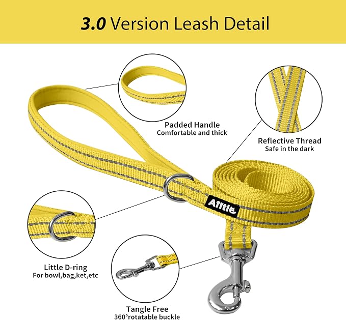 AIITLE No Pull Dog Harness and Leash Set, Step in Adjustable Dog Harness - Image 7