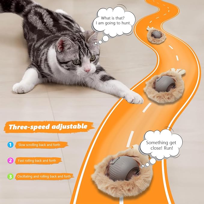 Cat Toys Pack, Interactive Cats Toys - Image 3