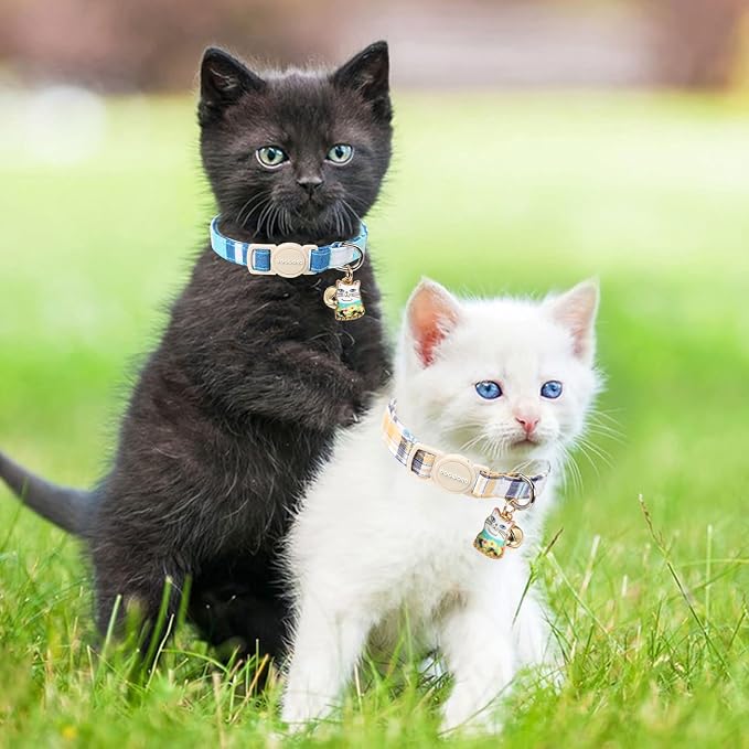 DOGWONG Cat Collar, 2 Blue Plaid Pack, Breakaway - Image 5
