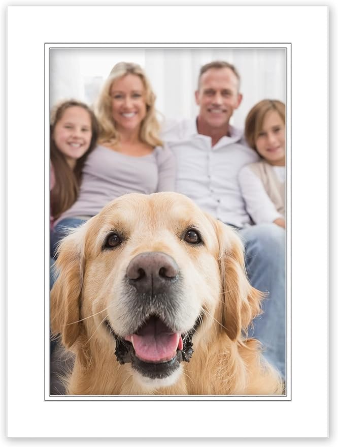 10x12 Mat for 8x10 Photo - Precut White on White Double Mat Picture Matboard for Frames Measuring 10 x 12 Inches - Bevel Cut Matte to Display Art Measuring 8 x 10 Inches - Acid Free ONE MAT