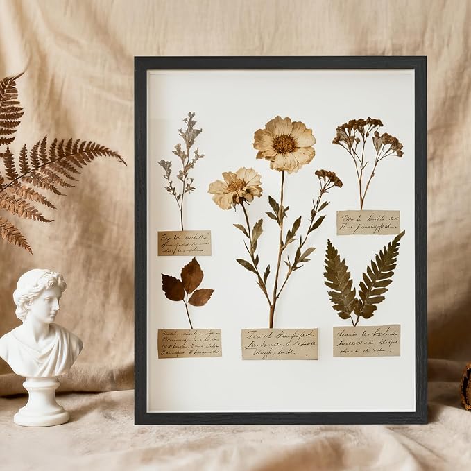 11×14 Shadow Box Frame Display Case - Image 6