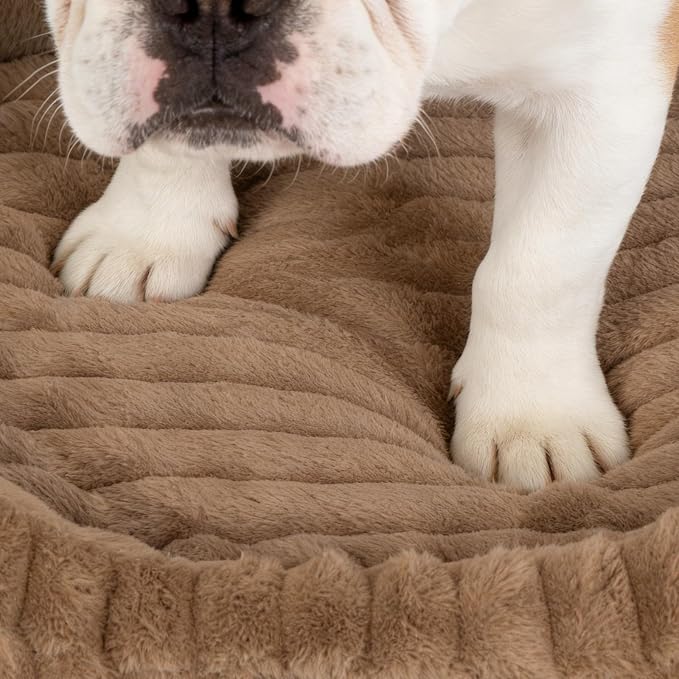 Cute Washable Dog Bed for Small Dogs -Soft Plush Calming Puppy & Cat Bed - Image 6