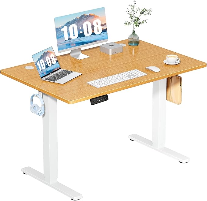 DUMOS 48 Inch Electric Standing Desk Height Adjustable, Sit to Stand Up by DumosLifestyle