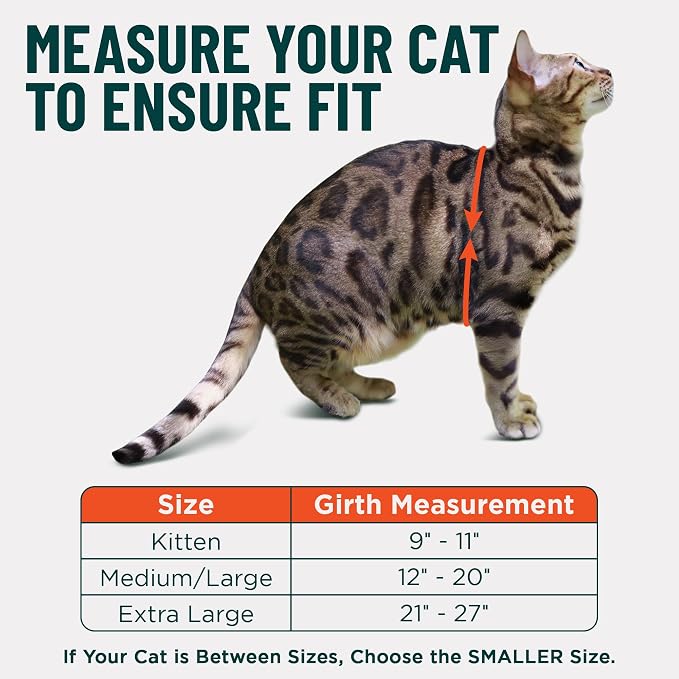 Houdini™ Escape Proof Kitten Harness and Leash Set by OutdoorBengal – Orange - Image 5