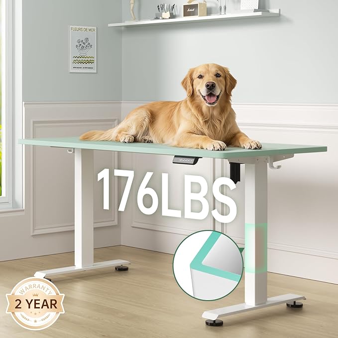 Veken 55 Inch Large Electric Standing Desk, Gaming Table, Suit students - Image 5