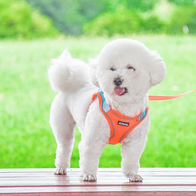 AIITLE Comfortable Dog Harness and Leash Set - Image 5