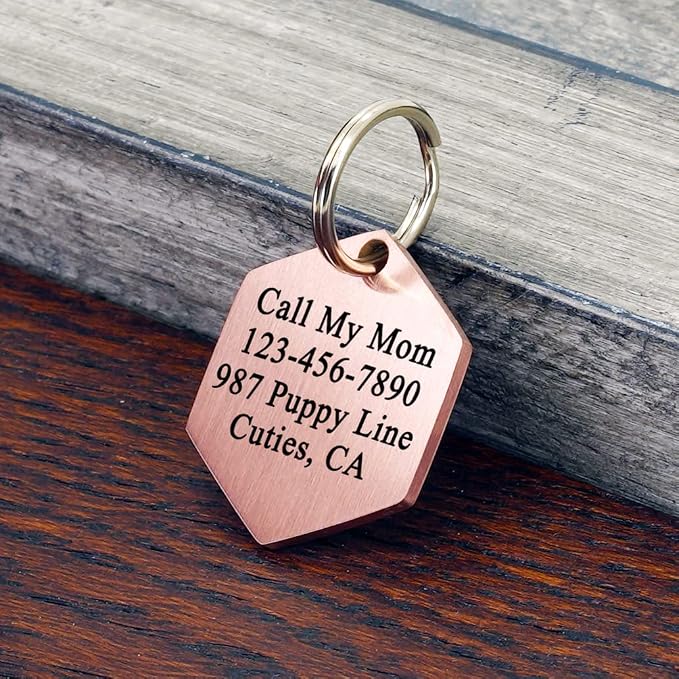 Ultra Joys Stainless Steel Dog ID Tag Personalized Front & Back Engraving - Image 2