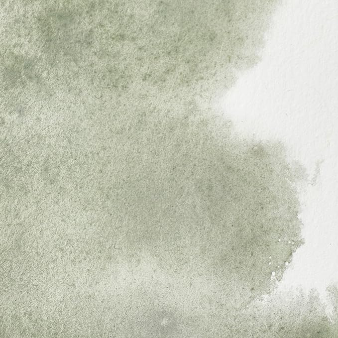 Winsor & Newton Professional Water Colour Paint, Half Pan, Davy's Gray
