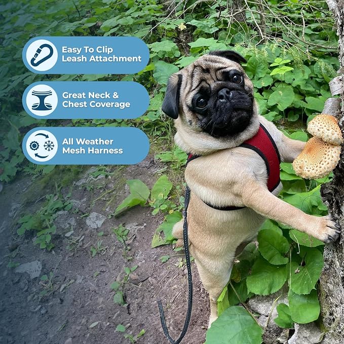 Best Pet Supplies Voyager Step-in Air All Weather Mesh Harness and Reflective - Image 5
