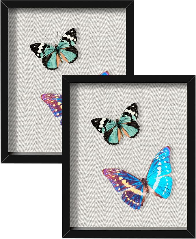 2 Packs 8x10 Shadow Box Frame by Califortree