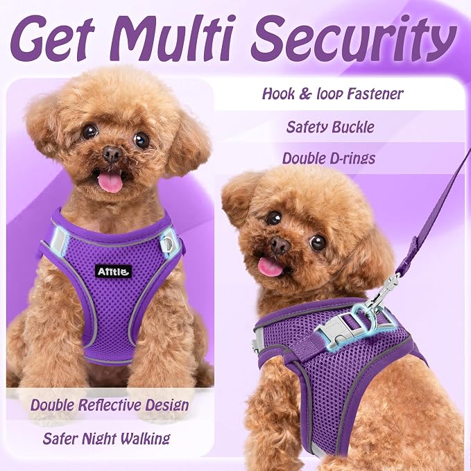 AIITLE Step in Dog Harness and Leash Set - Image 3
