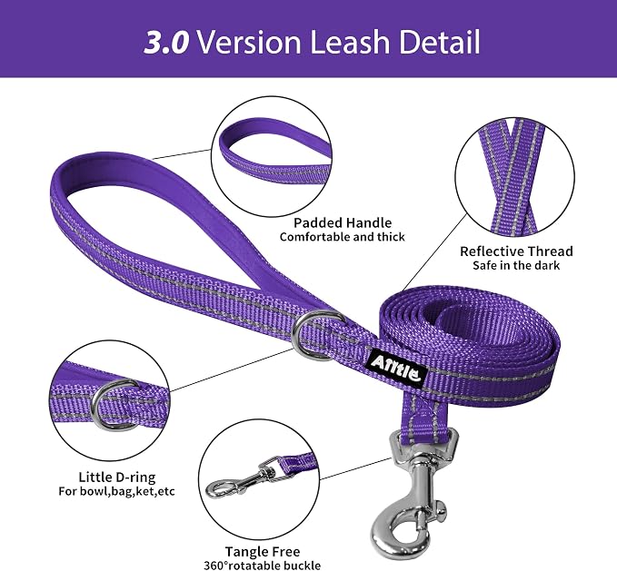 AIITLE Step in Dog Harness and Leash Set - Image 9