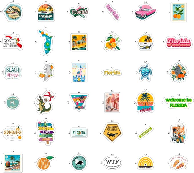 100Pcs Florida Stickers and Decals - Image 3