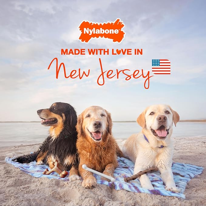 Nylabone Flexi Chill & Chew Toy - Image 5