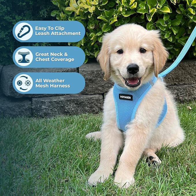 Best Pet Supplies Voyager Step-in Air All Weather Mesh Harness and Reflective - Image 6