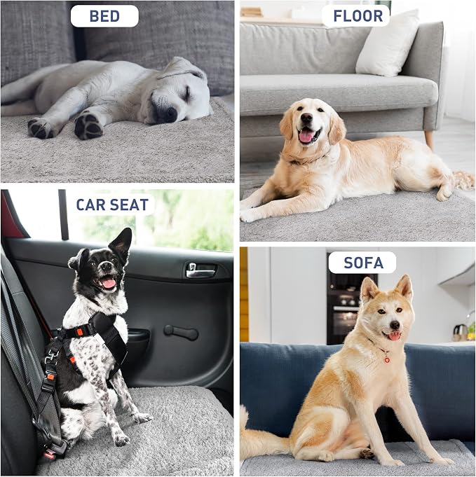 Kritter Planet Waterproof Dog Blankets - Image 6