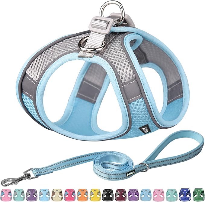AIITLE No Pull Dog Harness and Leash Set, Step in Adjustable Dog Harness by AIITLE-FORPETSBETTERLIFE